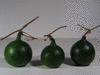 Lagenaria siceraria Peq. Pescoo liso; fruits