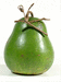 Lagenaria siceraria Duck; fruits