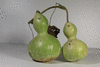 Lagenaria siceraria Medium bottle; fruits