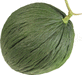 Cucumis melo Melon d'Espagne vert de Noël; fruits