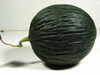 Cucumis melo Melon d'Espagne vert de Noël; fruits