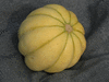 Cucumis melo Melon de Bellegarde; fruits
