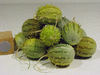 Cucumis zambianus ; fruits