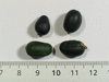 Melothria pendula ; fruits