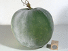 Benincasa hispida (de Chine Num.1); fruits