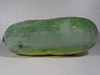 Benincasa hispida (de Chine Num.1); fruits