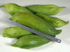 Cyclanthera edulis Du Venezuela; fruits