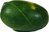 Citrullus lanatus Rio Mayo Sakobari; fruits