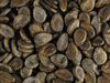 Citrullus lanatus Rio Mayo Sakobari; graines